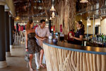 Club Med Albion 
Click to enlarge