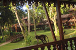 Club Med Cherating Beach 
Click to enlarge