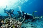 Club Med Nusa Dua Bali 
Click to enlarge